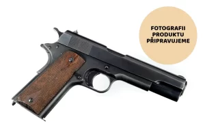 Zástupný symbol