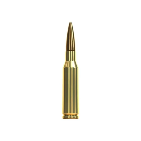 5,45 x 39 FMJ 60gr