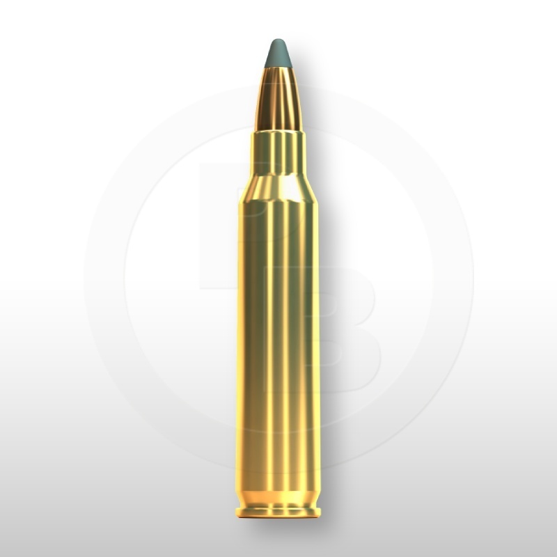 223 REM., SP 55gr