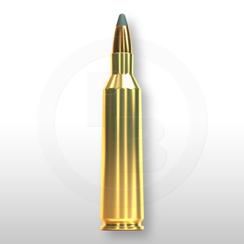 22-250 REM., SP 55gr