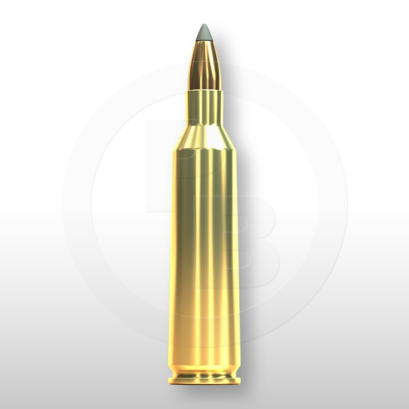 22-250 REM., SBT 55gr