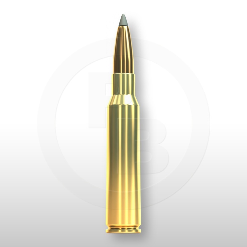 6,5 × 55 SE, SBT 140gr
