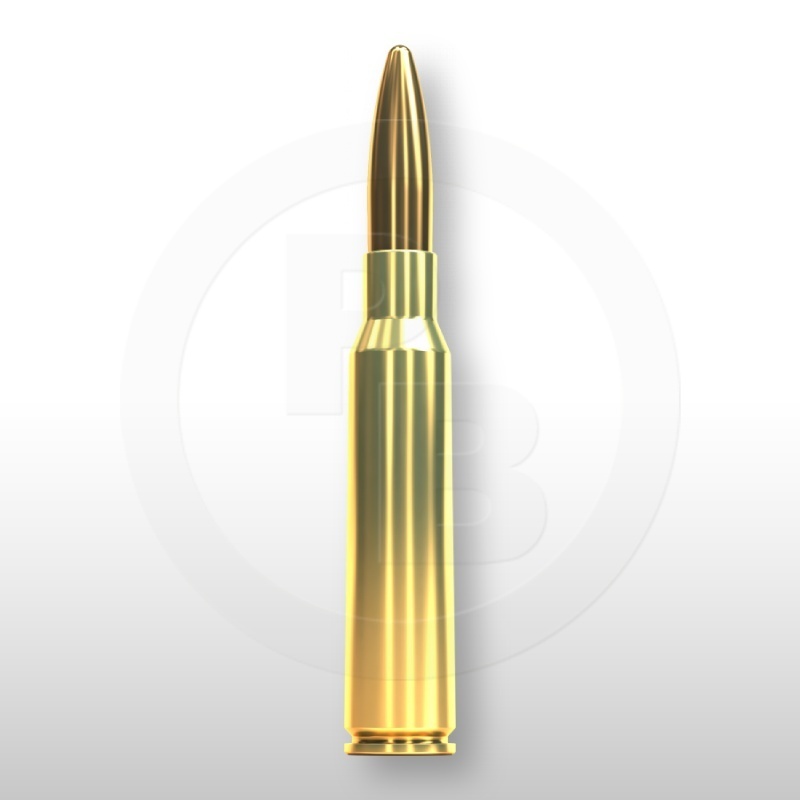 6,5 × 55 SE, FMJ 140gr