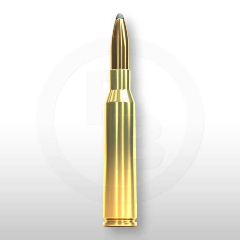 6,5 × 57, SP 131gr