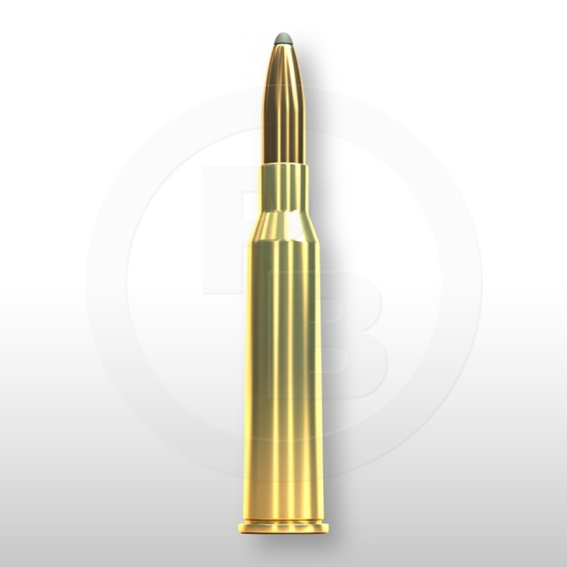 6,5 × 57 R, SP 131gr