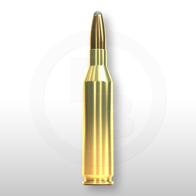 243 WIN., SP 100gr