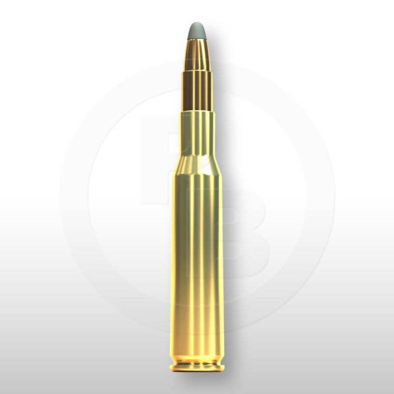 7 × 57, SPCE 173gr