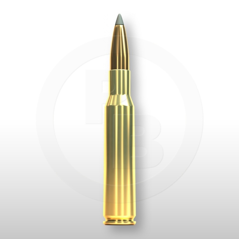 7 × 57, SBT 175gr