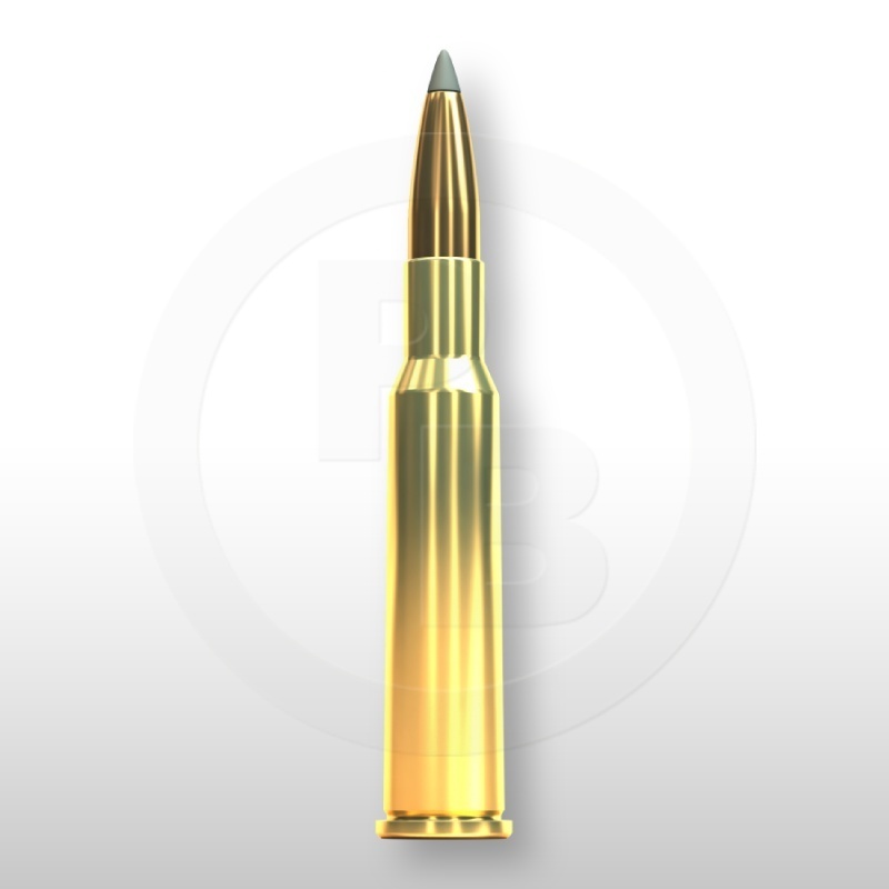 7 × 57 R, SBT 175gr
