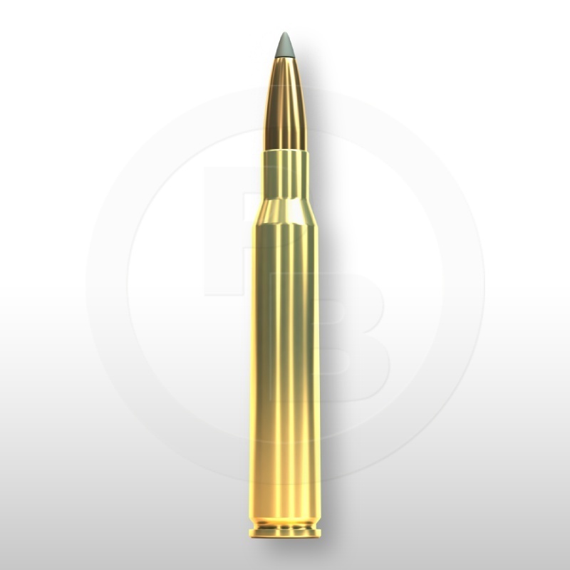 7 × 64, SBT 175gr