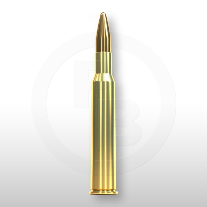 7 × 65 R, FMJ 140gr