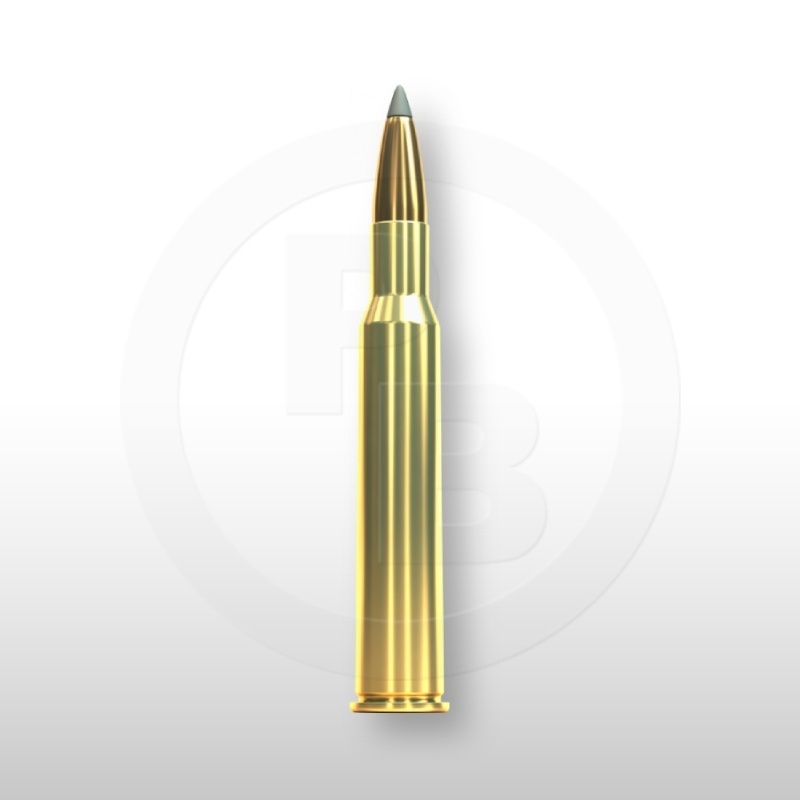 7 × 65 R, SBT 175gr