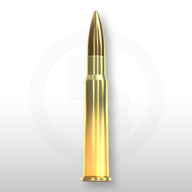303 BRITISH, FMJ 180gr