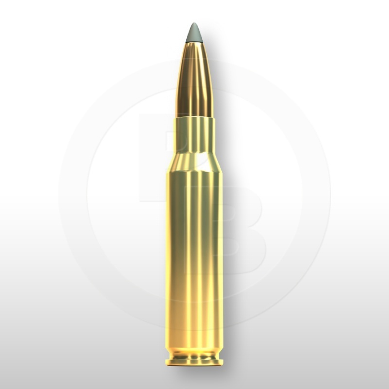 308 WIN., SBT 180gr