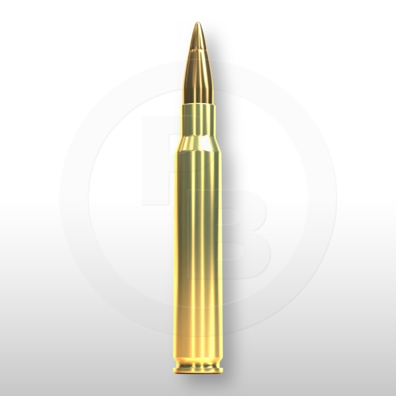 30-06 SPRING., HPC 180gr