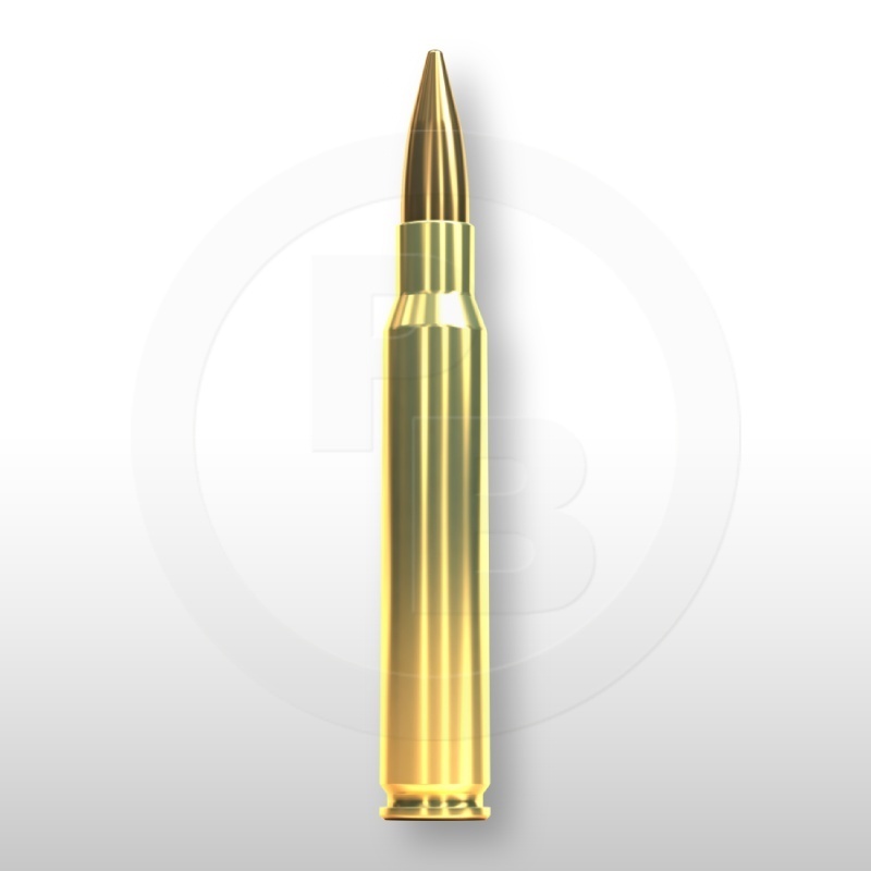 30-06 SPRING., FMJ 147gr