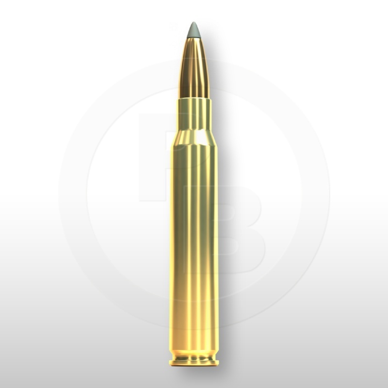 30-06 SPRING., SBT 180gr