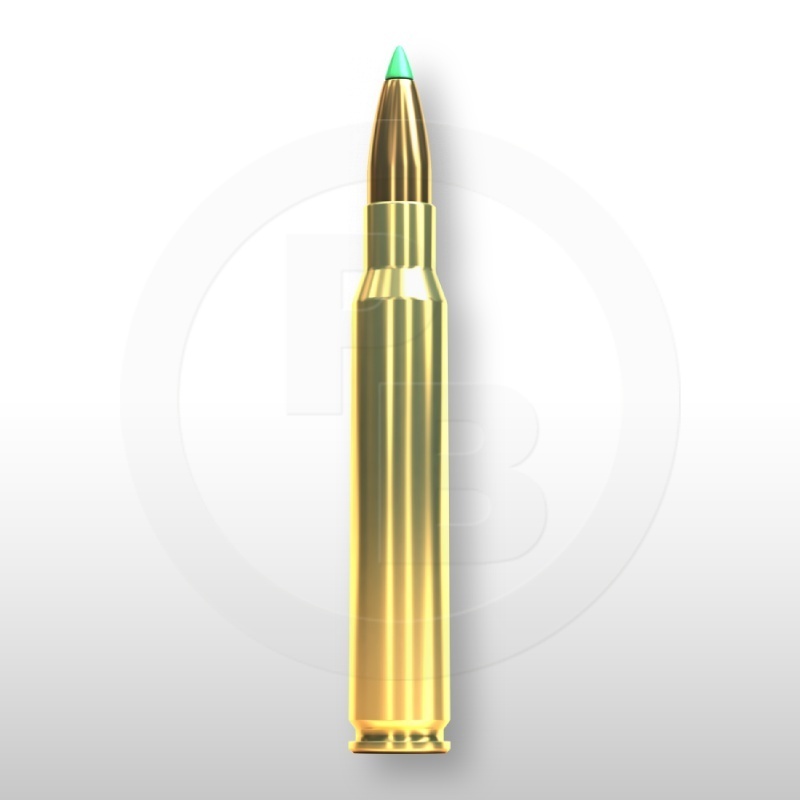 30-06 SPRING., PTS 180gr
