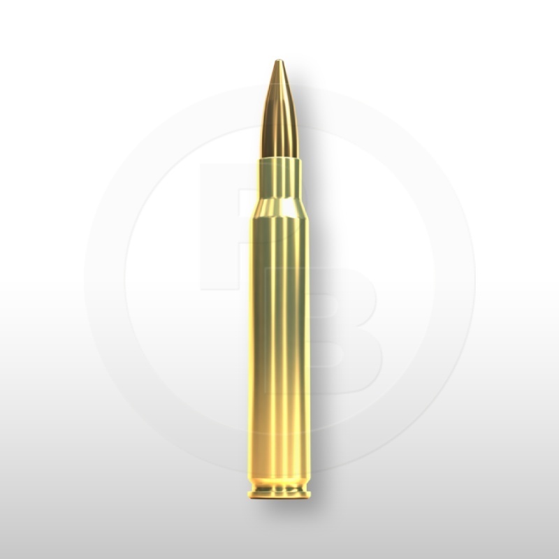 30-06 SPRING., FMJ 180gr