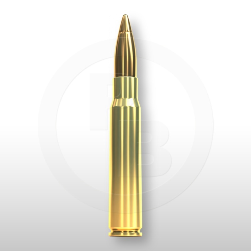 8 × 57 JS, HPC 196gr