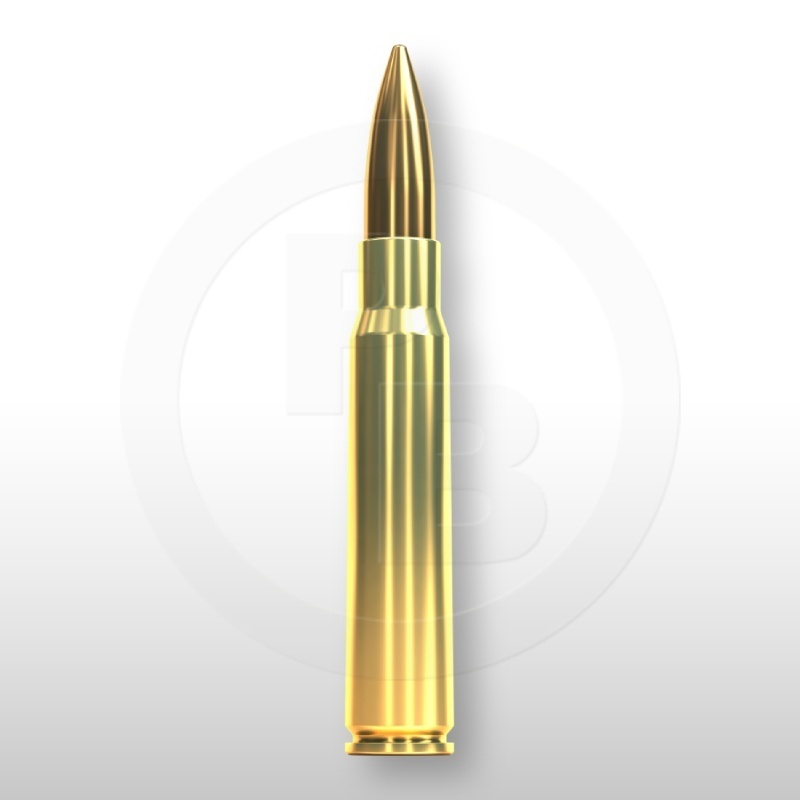 8 × 57 JS, FMJ 196gr