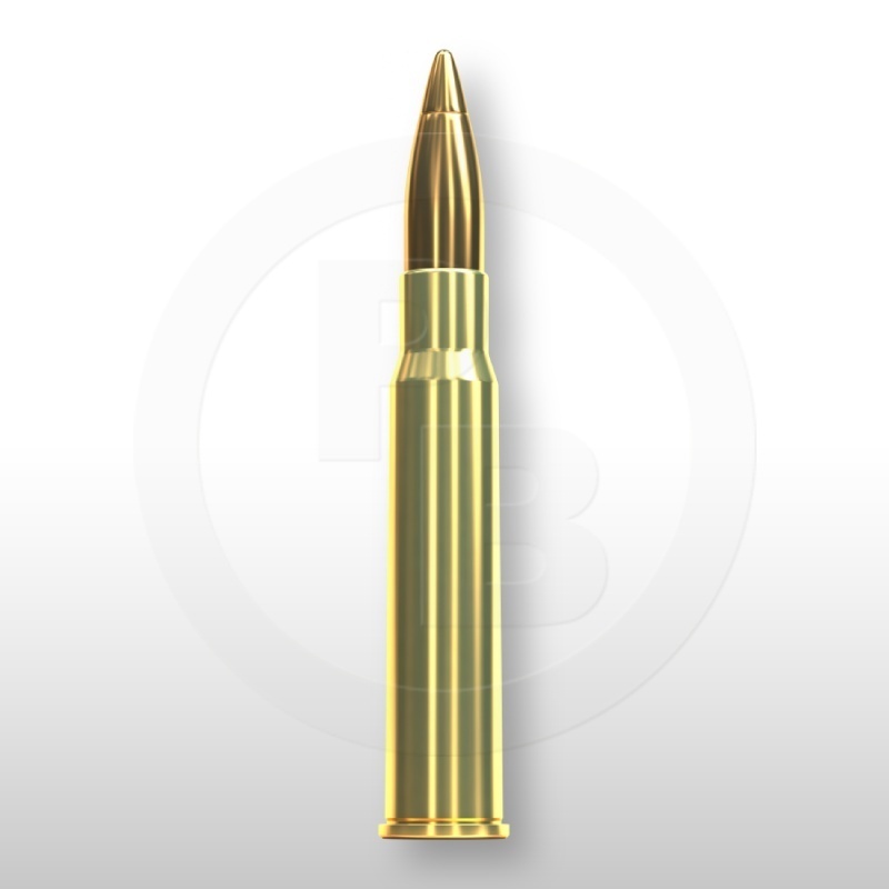 8 × 57 JRS, HPC 196gr