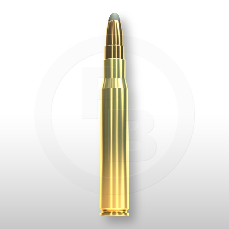 8 × 64 S, SPCE 196gr