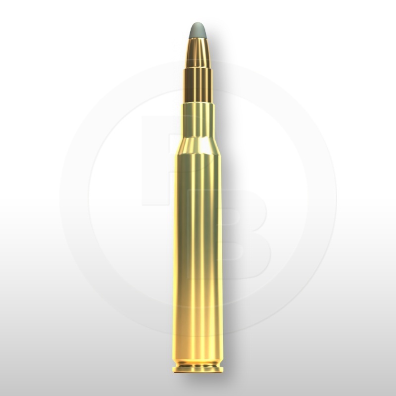 7 × 64, SPCE 173gr