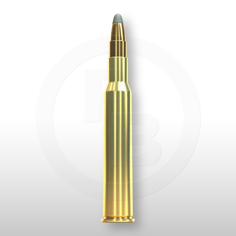 7 × 65 R, SPCE 173gr