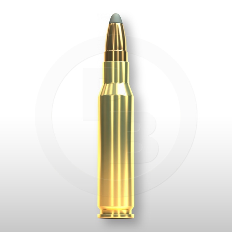 308 WIN., SPCE 180gr