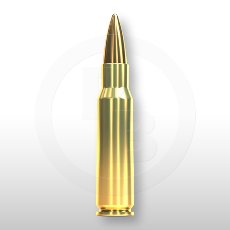 6,8 mm REM. SPC, FMJ 110gr