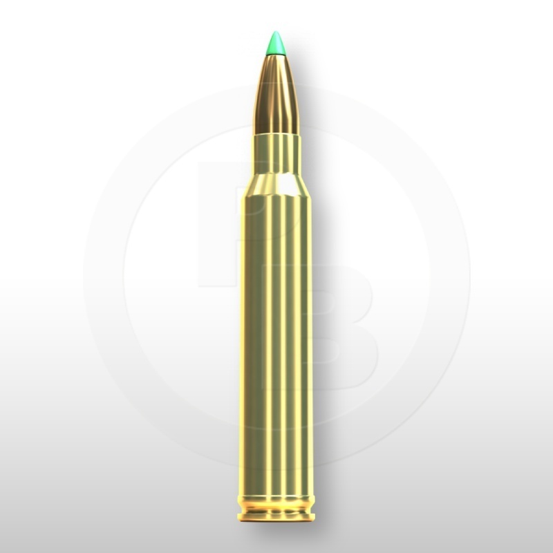 300 WIN. MAG., PTS 180gr
