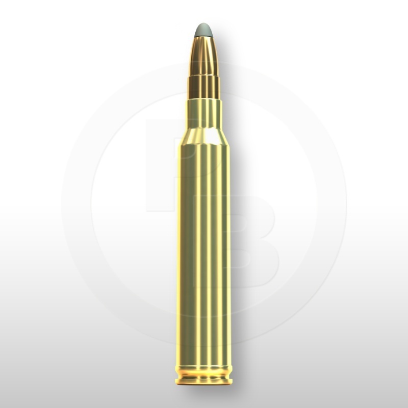 300 WIN. MAG., SPCE 180gr