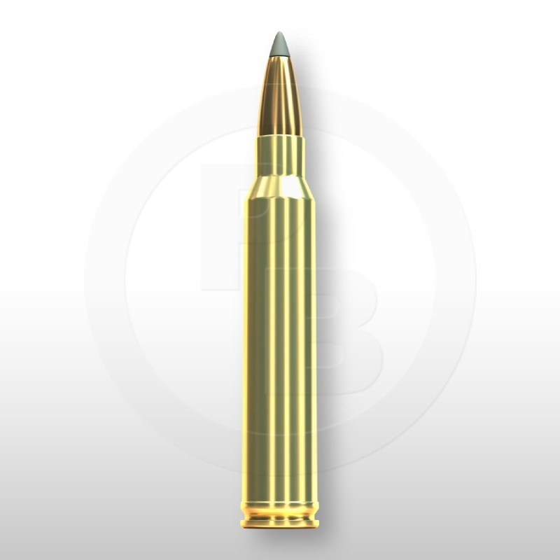 300 WIN. MAG., SBT 200gr
