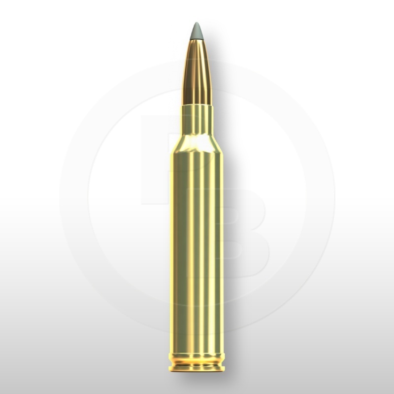 7 mm REM. MAG., SBT 175gr