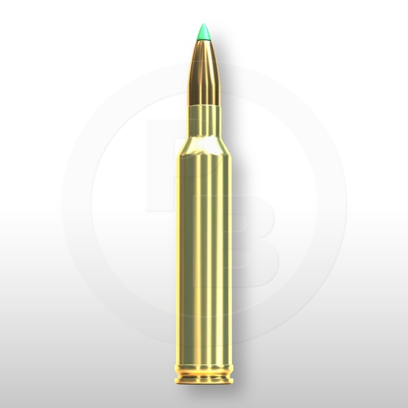 7 mm REM. MAG., PTS 162gr