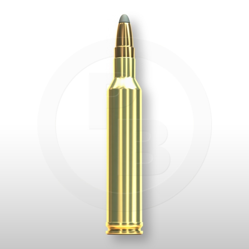 7 mm REM. MAG., SPCE 173gr