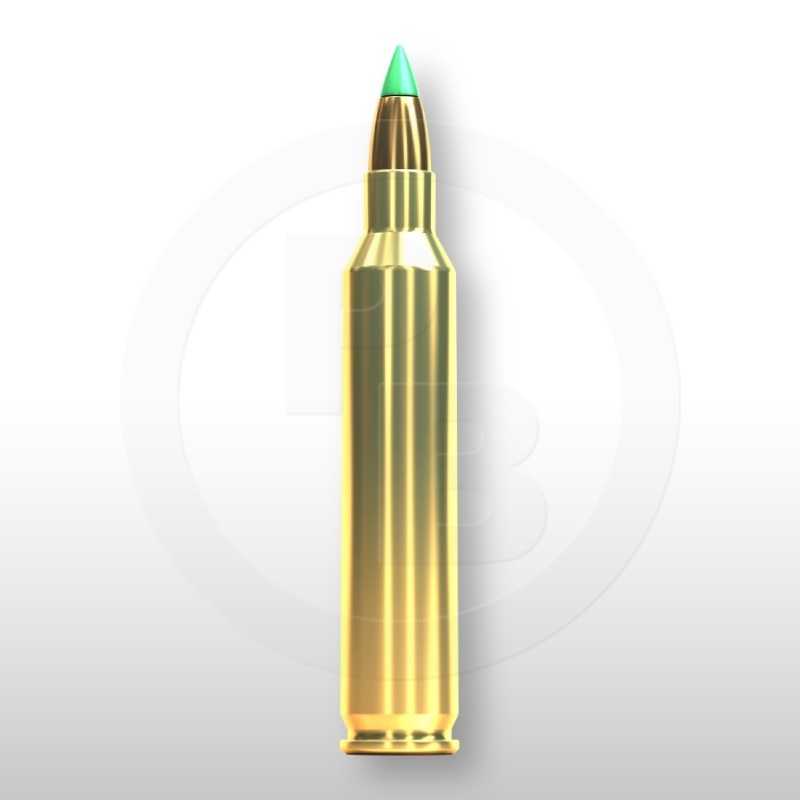 204 RUGER, PTS 32gr