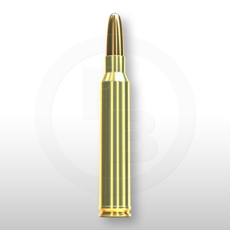 300 WIN. MAG., XRG 180gr
