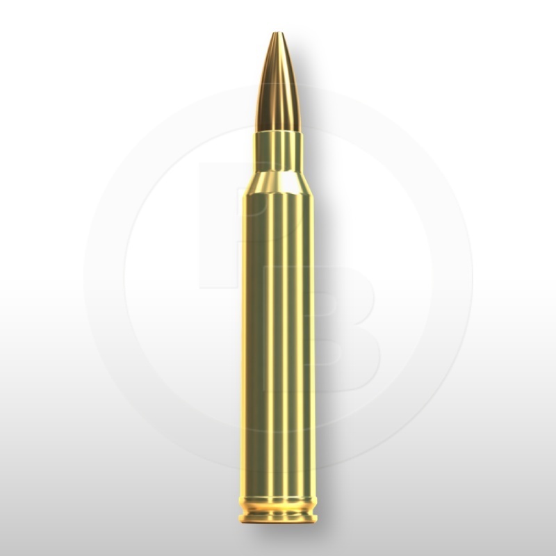 300 WIN. MAG., HPBT 190gr
