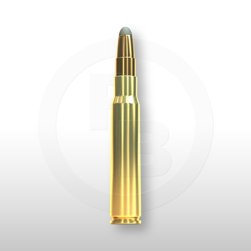 8 × 57 JS, SPCE 196gr