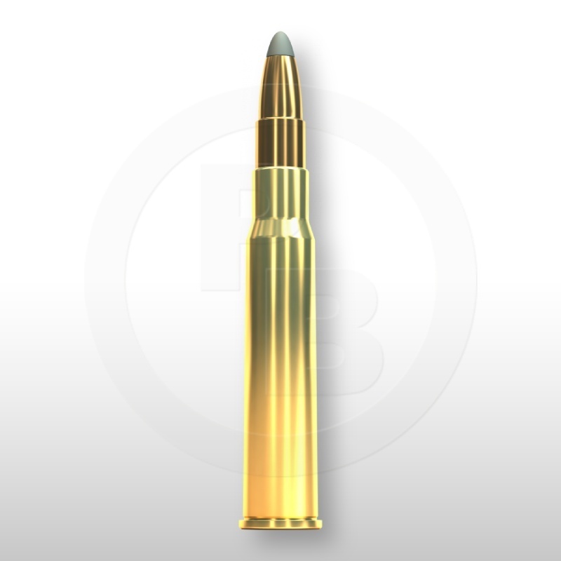 8 × 57 JRS, SPCE 196gr