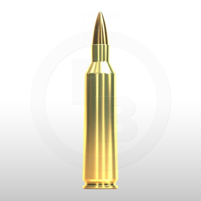22-250 REM., FMJ 55gr