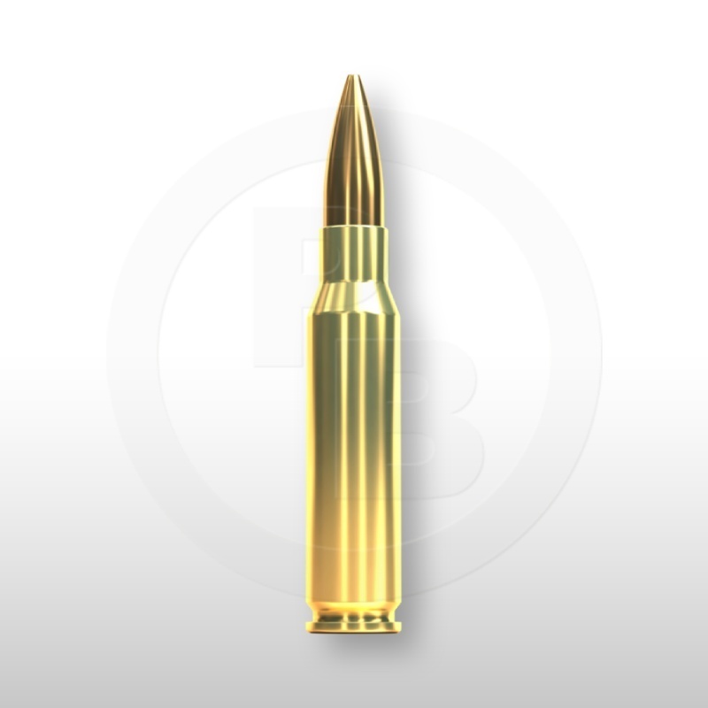 308 WIN., HPBT 180gr