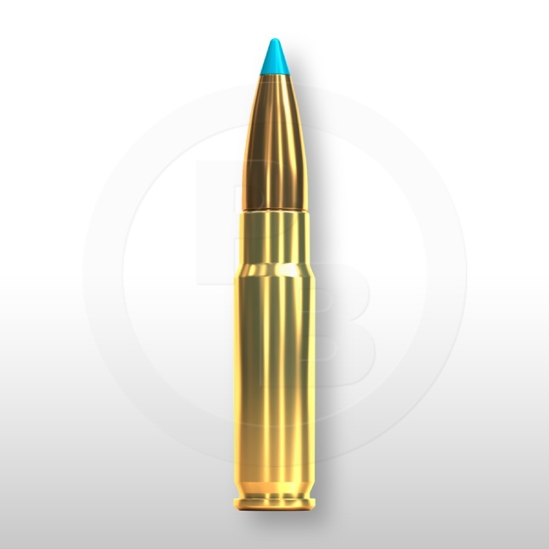 300 AAC BLACKOUT, TXRG 110gr