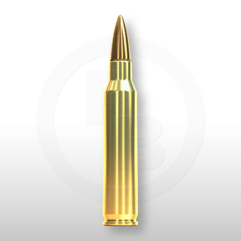 223 REM., FMJ 55gr