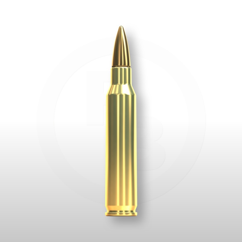 223 REM., FMJ 55gr