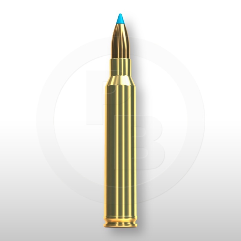 300 WIN. MAG., TXRG 180gr
