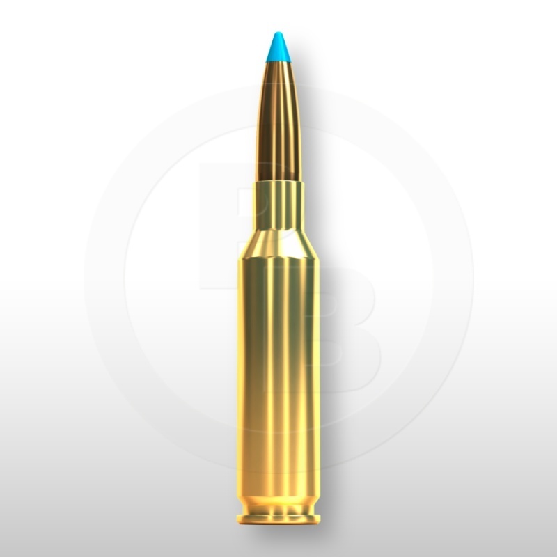 6,5 CREEDMOOR, TXRG 120gr