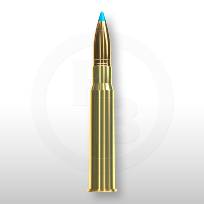 8 × 57 JRS, TXRG 180gr